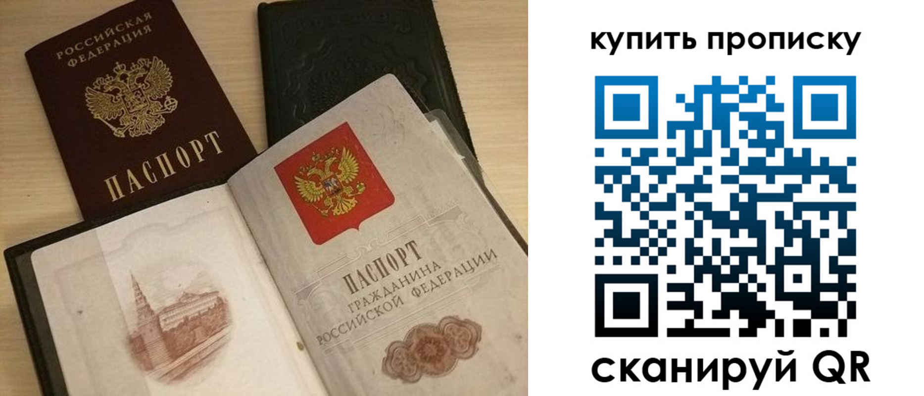 прописка гарантия в Почепе